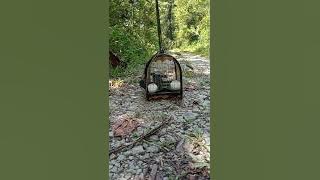 murai buluh (Mat Ali)denok murai buluh kg sungai petai pasir puteh.. zannienie welding