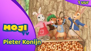 Download Lagu GROTE ONTSNAPPINGEN 😃 - PIETER KONIJN COMPILATIE 🐰 | DEEL 80 ✨ | Nederlandse Kinderseries | MojiTV MP3