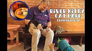 Play with Cats at the River Kitty Cat Cafe in Evansville [TRI-STATE BUCKET LIST]