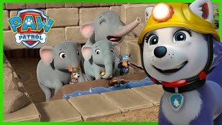 PAW PATROL - CARTOONS FOR KIDS