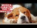 🔥 Música Clásica para Perros y Gatos Enfermos - Musica Relajante Sonidos Curativos 🔥