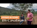 As Belezas e Encantos da Fazenda BS Canabrava e História de vida de seu Marinaldo. Piatã-BA.