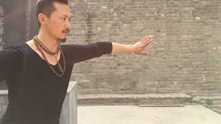 Shaolin vs Tai Chi (for Birth of the Dragon)