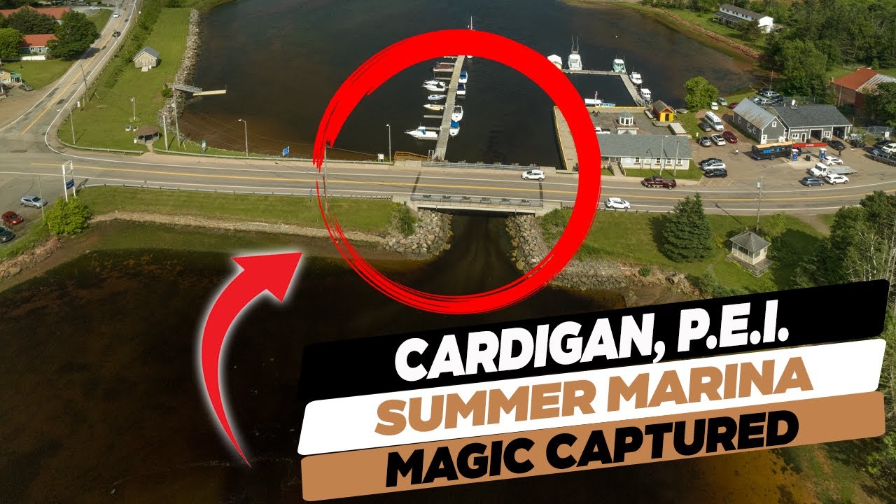 Captivating Cardigan PEI Embracing the Enchanting Summer Marina Vibes