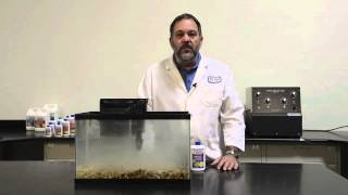 DrTim's Aquatics    One and Only Nitrifying Bacteria How to Use