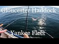 Yankee Fleet Haddock
