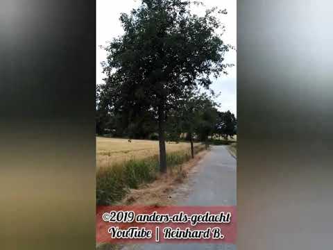 Kostenlos 100% Bio