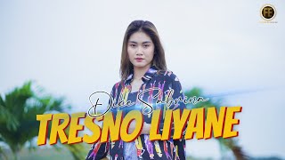 DIKE SABRINA - TRESNO LIYANE ( Official Music Video )