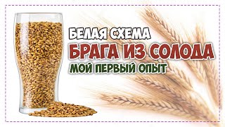 Брага из солода по белой схеме первый опыт