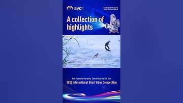 A collection of highlights - Video 67.#2023ISVC #OneBeltOneRoad
