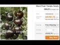 Китайские помидоры "Black Pearl"