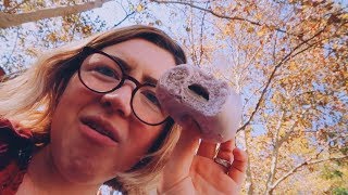 WHAT I ATE THIS WEEK // late october edition👻