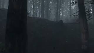 Sniper Standoff In Forest