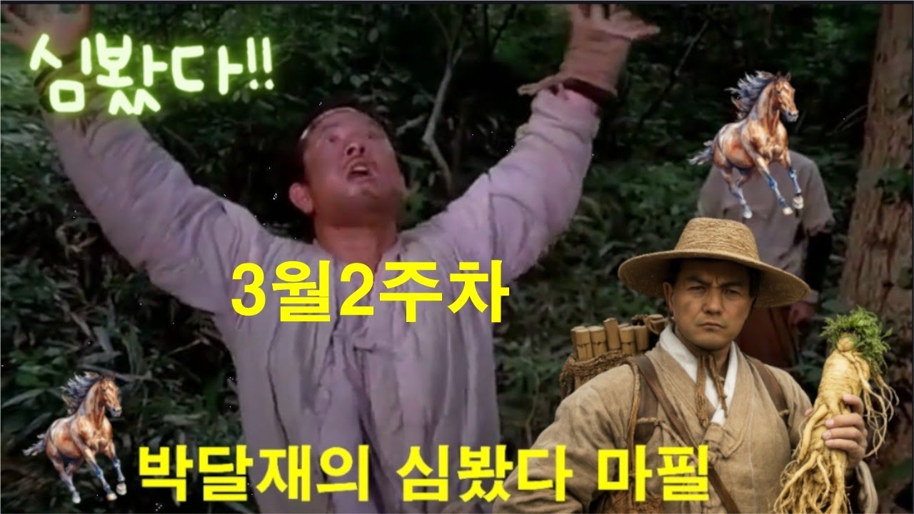 3월2주차 심봤다 마필공개 경마장 심마니 박달재 경마예상 추천마번 복병마  온종일 라이브 방송 서울경마 부경경마 제주경마 경주분석 추천마번 예상방송 박달재
