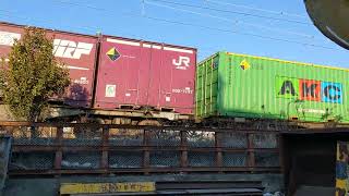 【代走】JR貨物 EF210-154号機+コキ22B 岡A18仕業[71レ] 新居浜行 川崎新町〜八丁畷間通過！