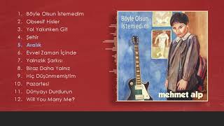 Mehmet Alp - Aralık Resimi