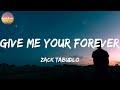 Zack Tabudlo - Give Me Your Forever (Lyrics)