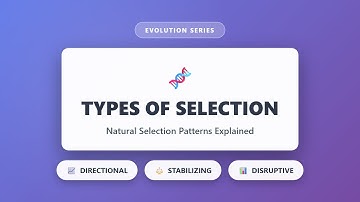 Types of Natural Selection: Directional, Stabilizing & Disruptive Selection Explained