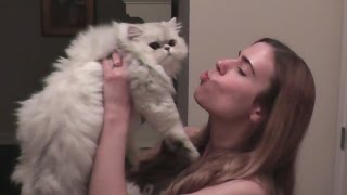 JEN REUNITES WITH OUR KITTEN CLOUD!