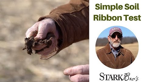 How to Do a Simple Soil Ribbon Test