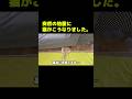 突然の地震に猫の取った行動がこちら...笑#shorts