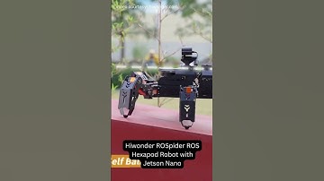 De zesbenige robot die overal kan klimmen, lopen en ontdekken