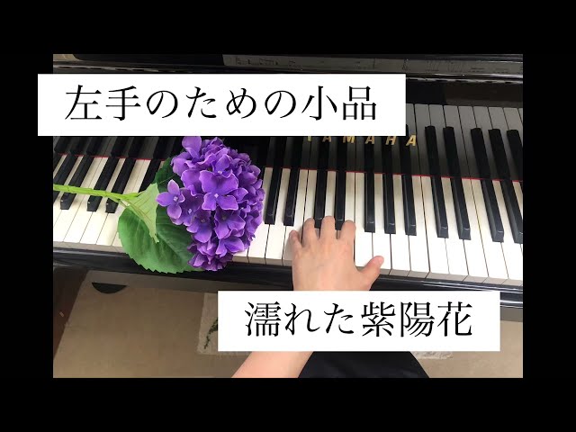季節の三部作 第2曲「濡れた紫陽花」樹原涼子