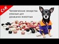 Человеческие лекарства опасные для домашних животных.