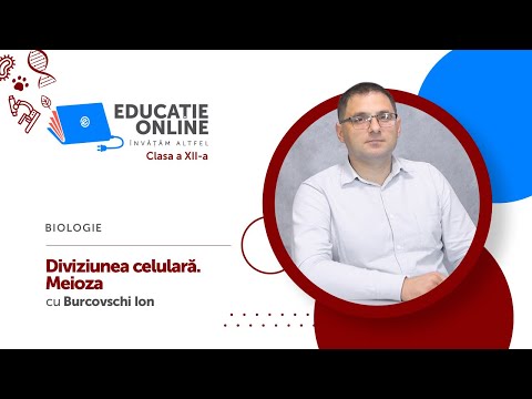 Biologie, Clasa a XII-a, Diviziunea celulară. Meioza