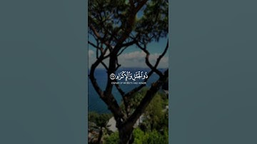 كل من عليها فان و يبقى وجه ربك ذو الجلال و الإكرام || سورة الرحمن || القارئ: ياسر الدوسري