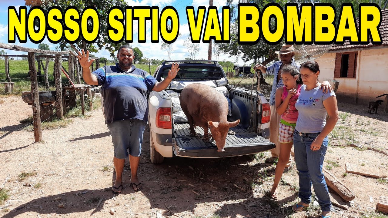 AGORA O QUINTAL ESTÁ COMPLETO+BUSCAMOS MAIS UM CARREGAMENTO DE ANIMAIS