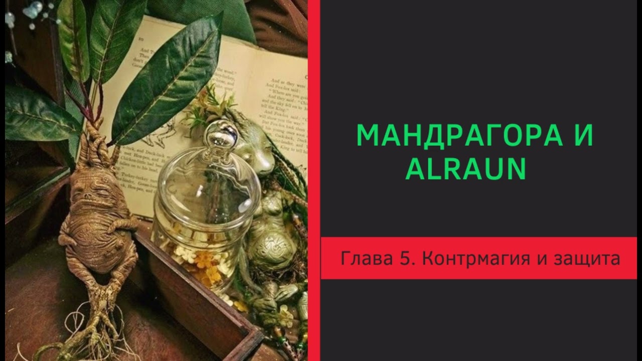 Мандрагора и Alraun