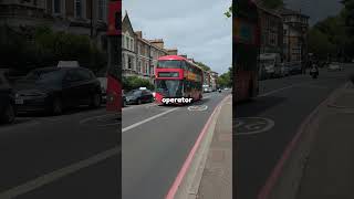 The Borisbus That Had The Old Omnibus Livery