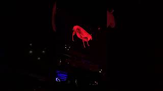 Roger Waters - Madrid - Sheep - (fragment) - 23/03/23