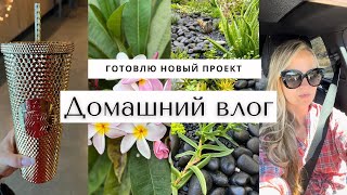 Прячусь в офисе от солнца...Новый проект