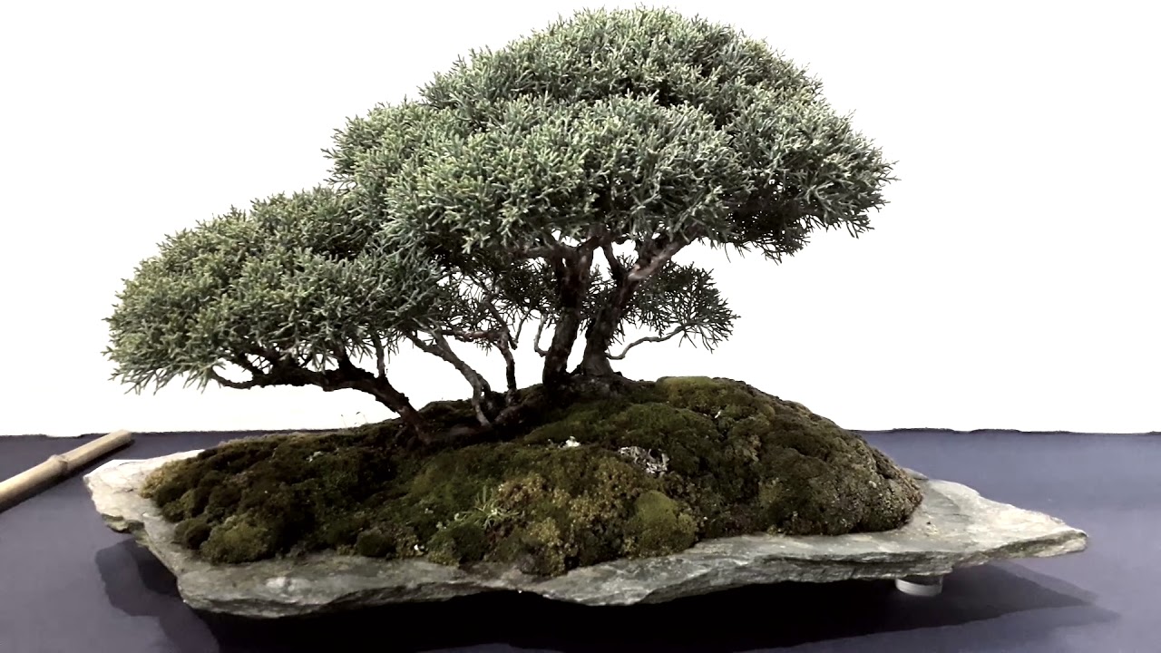 Vlog BCP #03 -  Exposition régionale PACA