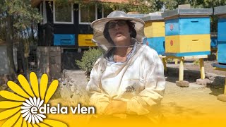 Gruaja nga Mitrovica, që shëron sëmundje me bletë