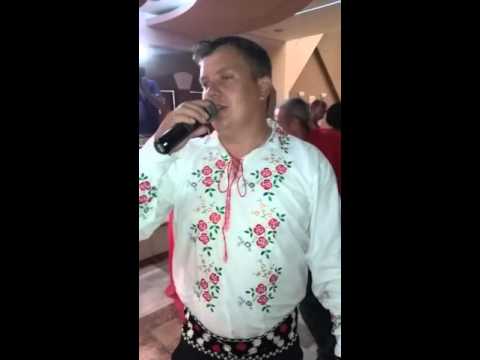 MIHAI DE LA SIMERIA NUNTA 2015 HUNEDOARA