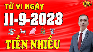 Tu Vi Hang Ngay 11/9/2023 ĐÚNG 6h30 CHIỀU MAI Trúng SỐ ĐỔi Đời 4 COn Giáp Vàng Bạc Chật Két