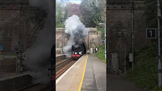Sussex Belle, 'Eddystone' 34028   47484 passes her way out of Hastings Tunnel at St. Leonard's