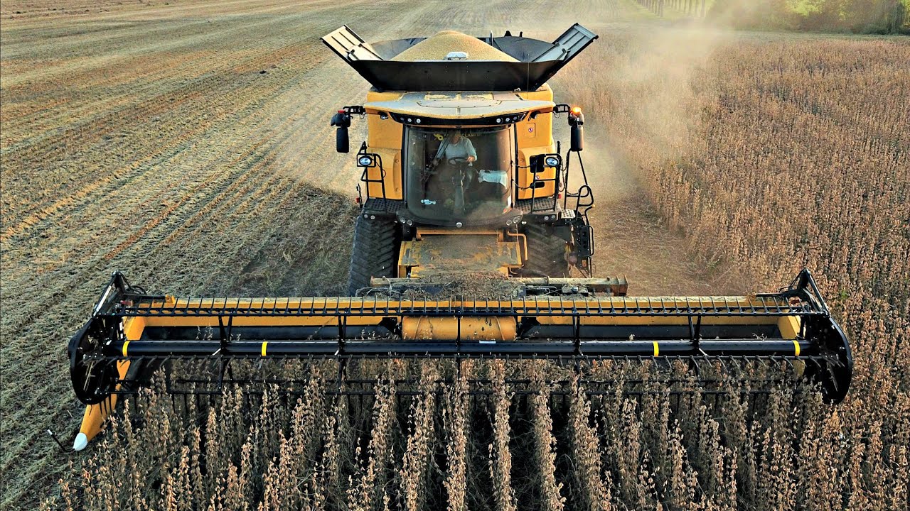 SOIA: COME PRODURRE 60 q/ha