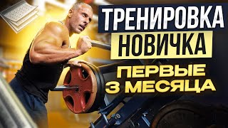 Тренировки новичков. Первые 3 месяца.