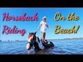 Anna Maria Island Getaway | Swimming with Horses Florida 2020 | GoPro Hero 4K | C Ponies, Bradenton