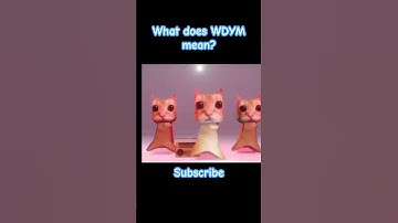 What does WDYM mean? #viral