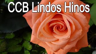 Ccb Hinos Cantados🌷 Congregação Cristã no brasil🌷 Hinos Ccb Cantados Hinario 5 Hinos Vol 24