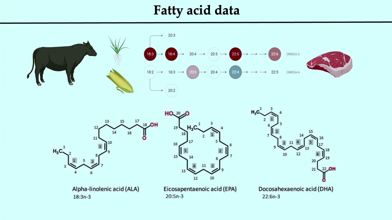 Advancing Food is Medicine Replay: Dr. Stephan van Vliet