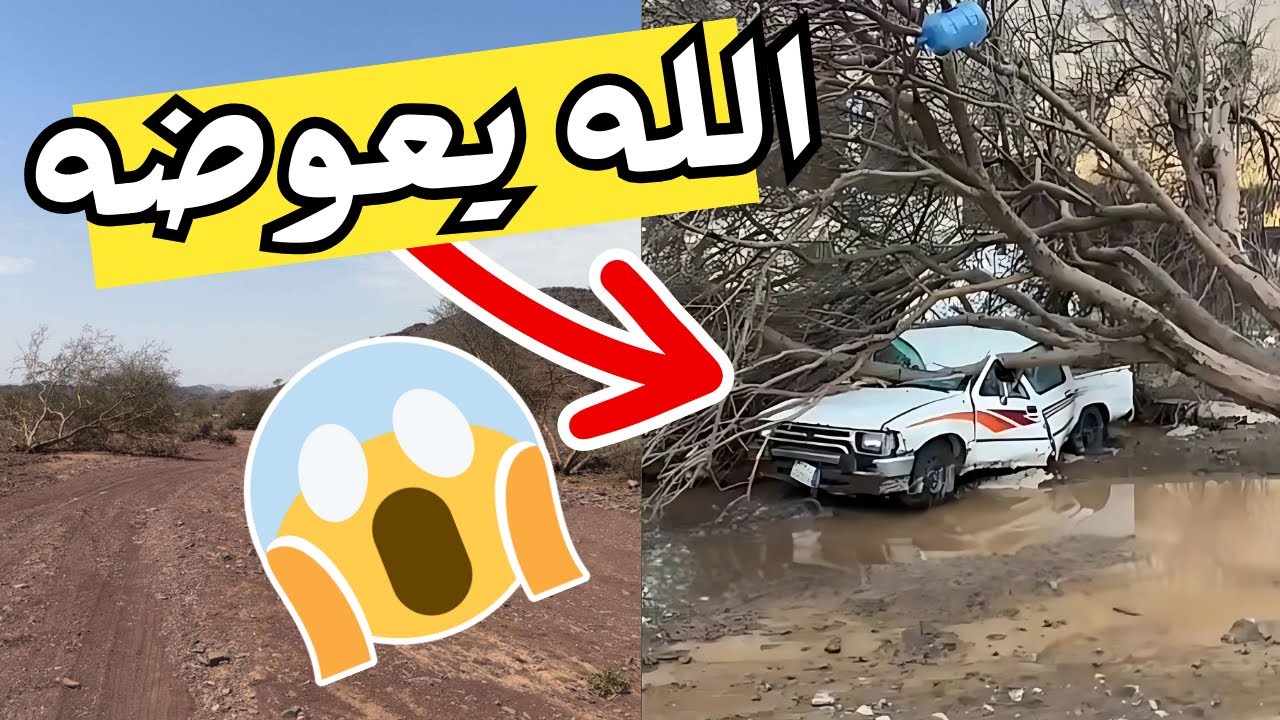 عاصفة رعدية مرعبه دمرت وطيرت كل شيء ⛈😱 (الاشجار كلها طاحت💔)