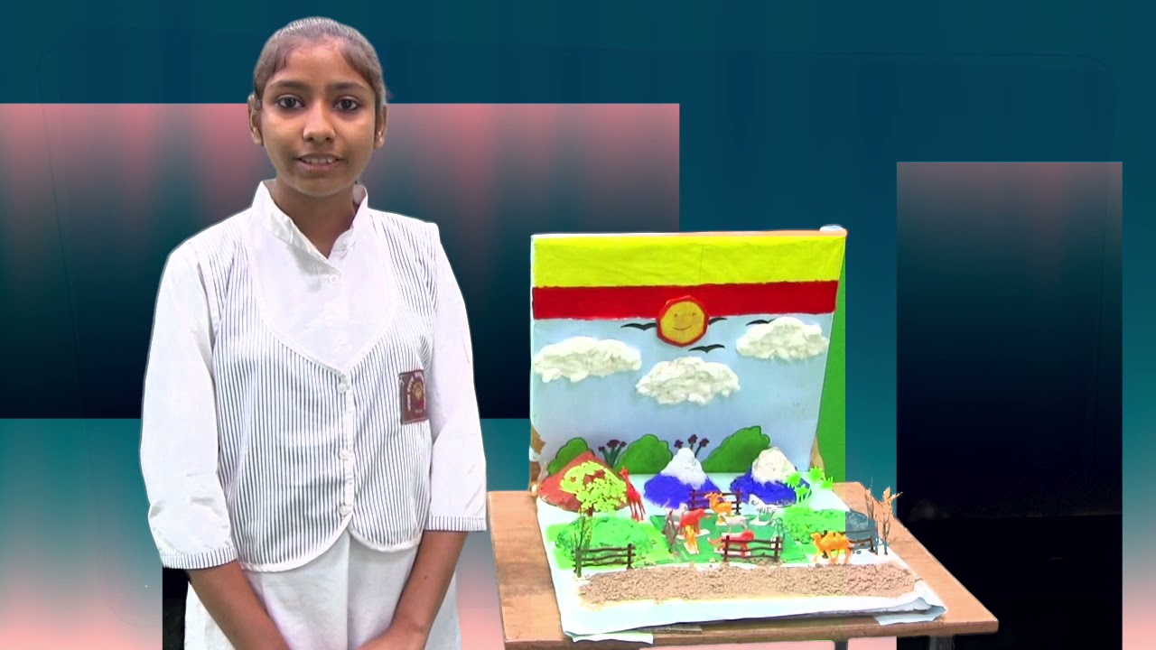 Physical Features of India, | working model of Geography | Riya Kumari ...