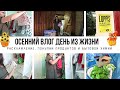 ОСЕННИЙ ВЛОГ🍂 Расхламление квартиры 🍁 Покупки продуктов для заготовок и бытовой химии для дома 🍂