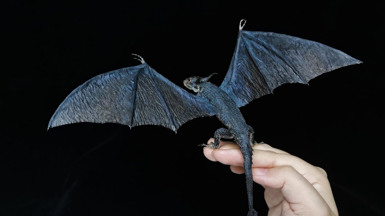 【修一j】请问，养龙是合法的吗？时隔两年再现长翅膀的小蜥蜴标本｜Is It Legal to Raise a Dragon? Specimen of a Small Lizard with Wings